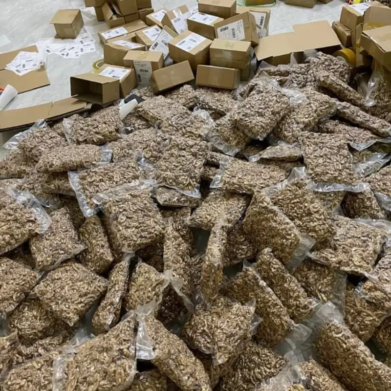 1KG HẠT ÓC CHÓ TÁCH VỎ KHÔ NHÀ LÀM Nuts Ăn Vặt hạtdinhduong 8