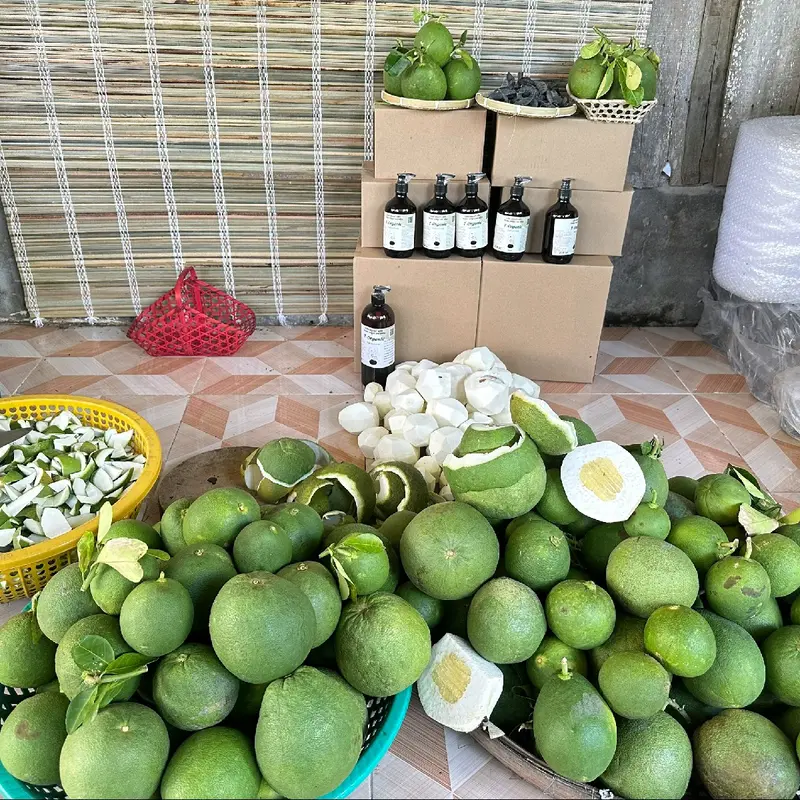 COMBO 2 CHAI LỚN 1 CHAI NHỎ DẦU GỘI BỒ KẾT THẢO DƯỢC 2