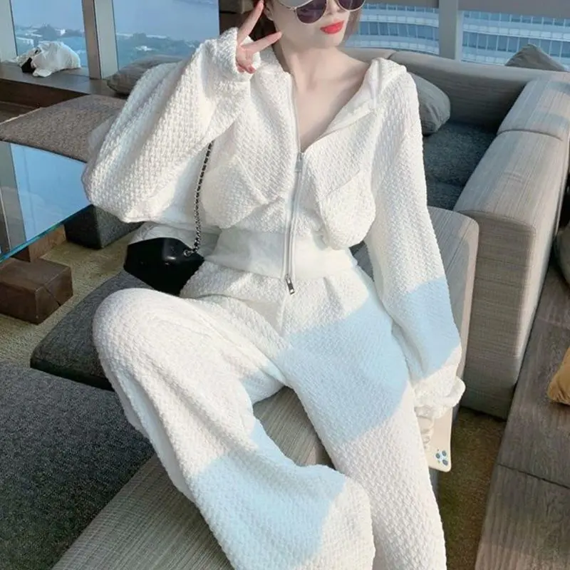 Áo Nỉ Có Khóa Kéo Có Mũ Trùm Đầu, Bộ Hai Mảnh, Quần Ống Rộng, Phong Cách Cổ Điển, Phong Cách Hàn Quốc, Bộ Đồ Đi Chơi Thời Trang Nữ, Hàng Mới Về Mùa Xuân 2024