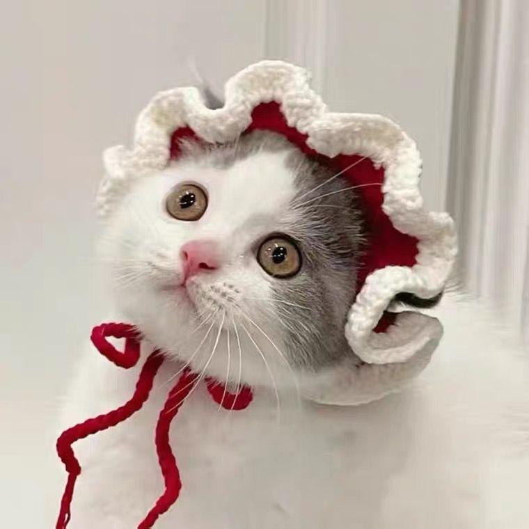 Cat hat, pet hat, puppy hat, cute and funny pet cross dressing hat 4