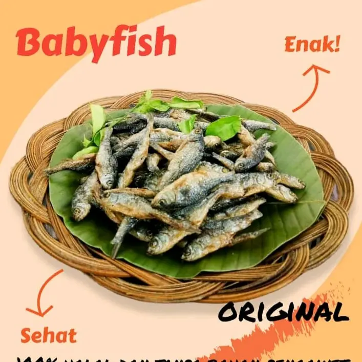 ikan kering ikan bilis ikan bilih singkarak