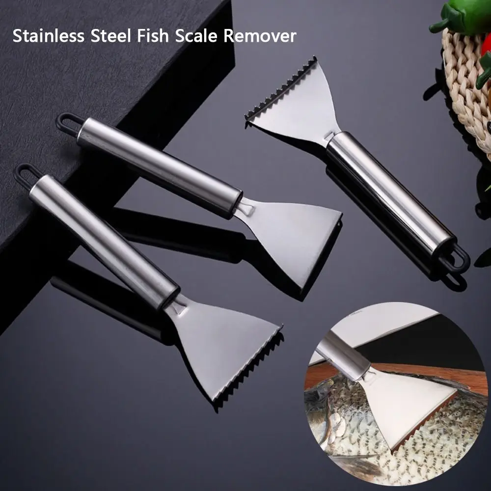 Quickly Preparing Fish Stainless Steel Fish Scale Remover Smooth Handle Easy Maneuverability Fish Scale Scraper Seafood Tools Seafood Tools