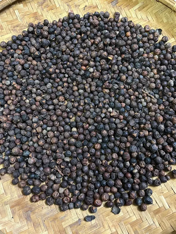 Đủng Đỉnh ngâm gồm quả đủng đỉnh đã qua phơi khô, sao vàng, ngâm với r nếp gốc hủ 2 lít 3