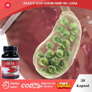 Penyumbatan di Saluran Empedu, Penghancur Batu Empedu, Kolesistitis Akut Dan Kronis, Infeksi Saluran Empedu, Herbal Radang Empedu