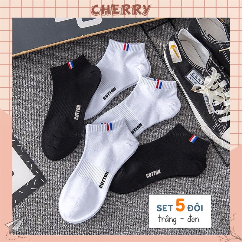 Tất cổ ngắn nam chất liệu cotton co giãn 4 chiều chống hôi chân - Cherry Shop