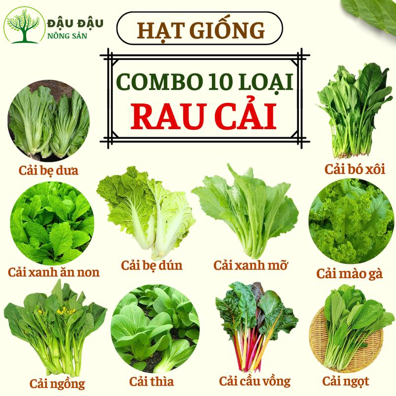 Combo 10 loại Hạt giống các loại Rau Cải trồng quanh năm, dễ trồng, mọc nhanh