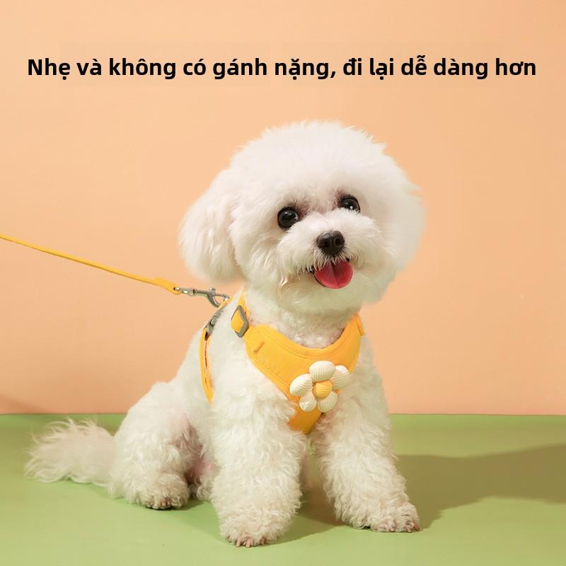 Dây Xích Thú Cưng, Thêu Hoa Cúc, Bộ Vest Ren, Thích Hợp Cho Chó Và Mèo, Dây Đai Nịt Cho Chó Nhỏ vòng  cổ  cho  mèo  khắc  tên hộp  đựng  hạt  cho  mèo lục  lạc  cho  cún  chó chuông  đeo  cổ  chó pet  chuỗi xích  chó  cỡ  lớn dây  xích  chó breakaway  col 0