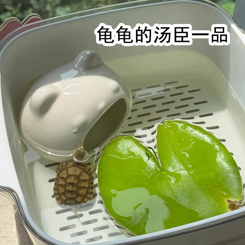 Bể Cho Ăn Rùa, Nhà Trú Ẩn, Để Sử Dụng Trong Gia Đình, Phòng Khách Và Ký Túc Xá, Bàn Phơi Cho Rùa Brazil Nhỏ Bể Cá, Thoát Nước, Thuận Tiện, 2024 0