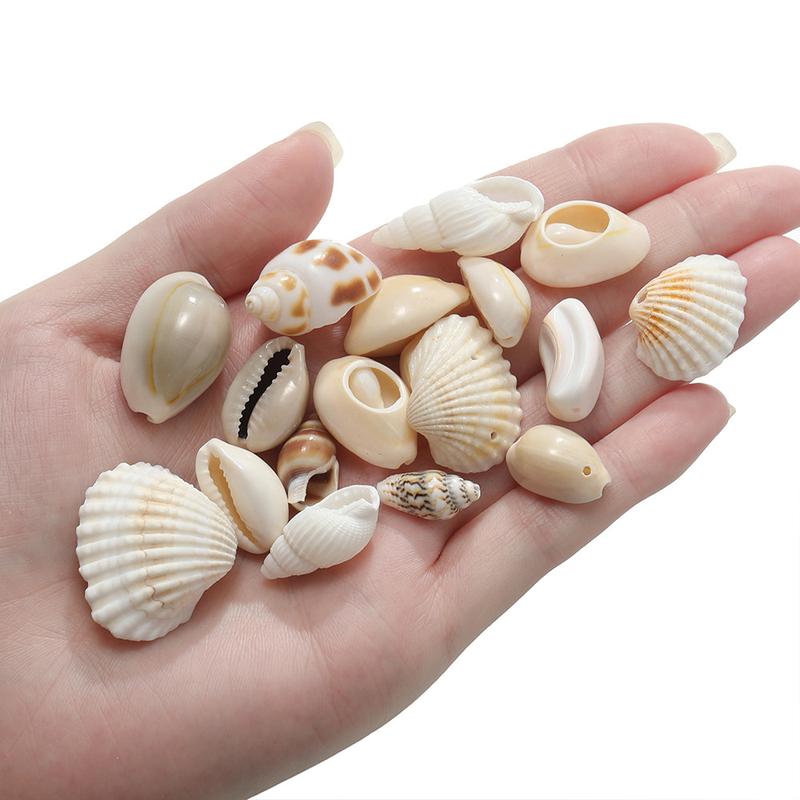 Product Introduction of Loket Cangkang Alamiah, St. kunkka, 10Pcs, Pelbagai Gaya, Manik Kerang, untuk Membuat Gelang dan Rantai DIY 50