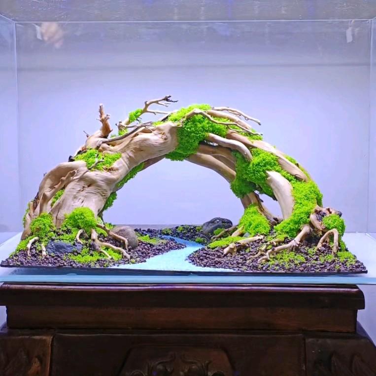 Layout dành cho bể cá thủy sinh, bể nuôi cá Lóc cảnh, beta, bảy màu, các loại cá nhỏ theo bầy. Dành cho bể 30cm , 40cm