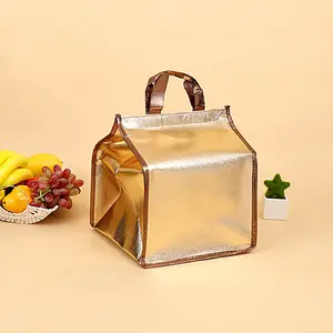 Tas Pendingin Makanan Thermal Insulated Bag - LAIY07 TaffHOME  Cooler Bag
