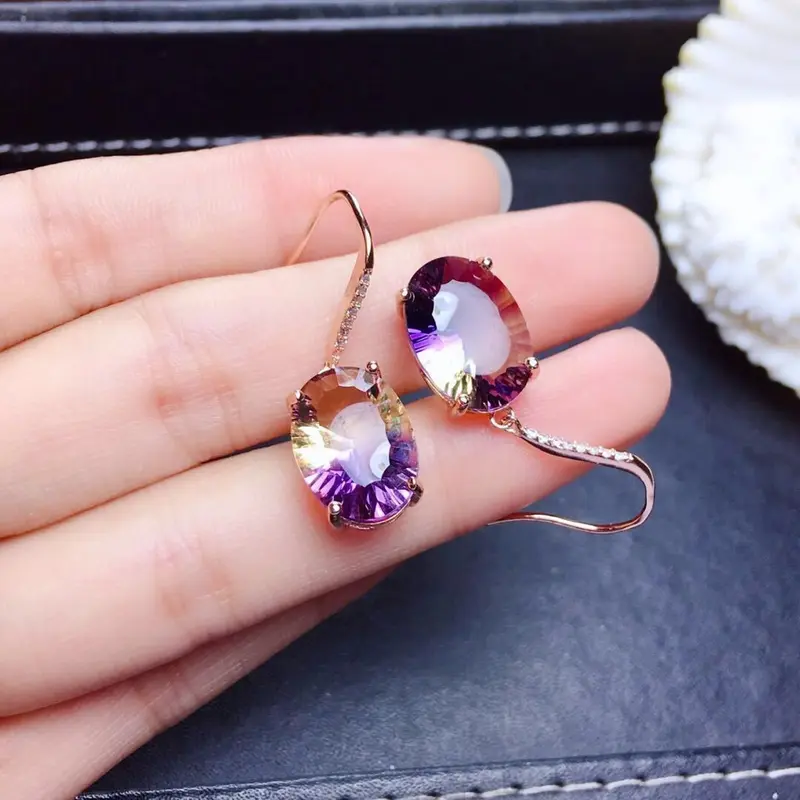 Hoa Tai Màu Tím Pha Lê Đơn Giản, Kim Bạc Mới, Giá Cả Phải Chăng, Thời Trang Cá Tính số lượng ít, Cao Cấp Và Thanh Lịch, Thời Trang Cổ Điển Hoang Dã, Được 731 Người Vinh Danh 1