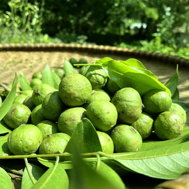 Sấu Ngâm Đường Ông Thọ Hôp 1Kg Đặc Sản Hà Nội Chua 2