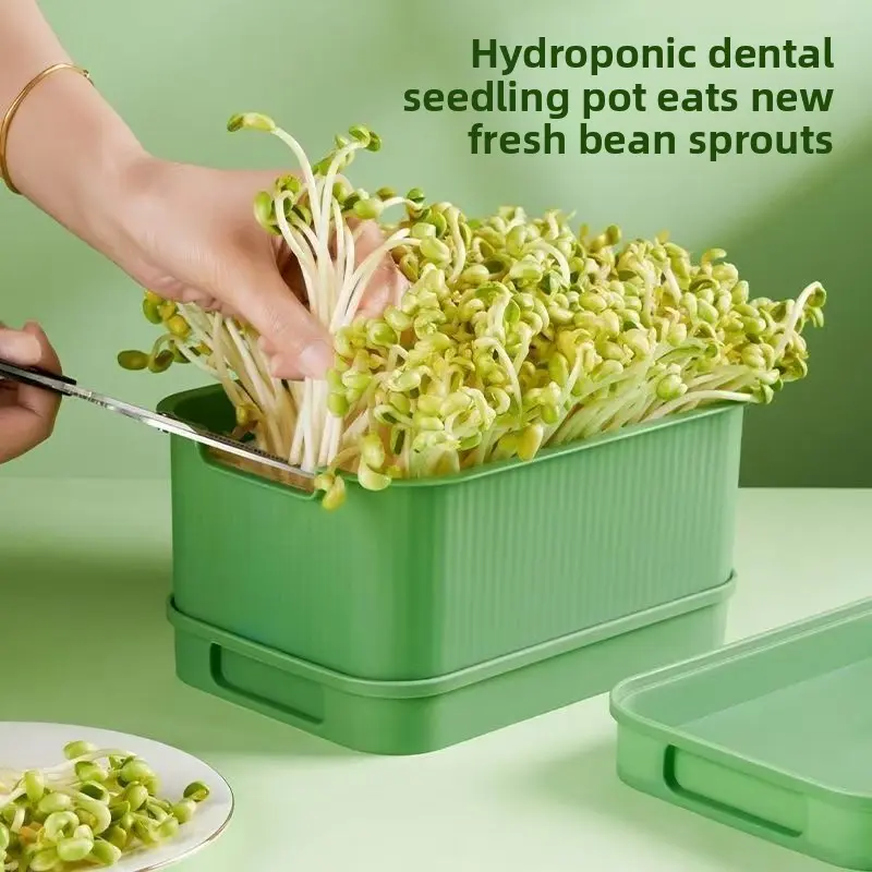 Nồi nảy mầm, công cụ ma thuật, để trồng đậu nành và mầm đậu xanh Khay thủy canh, không cần đất, cho khay trồng cây con, khay trồng mầm