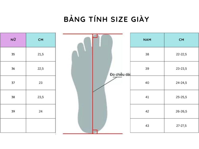 Product Introduction of Dép nam bumom full size 38-43 hot trend 2024 Đế Bằng Sandal Caro DéP 0