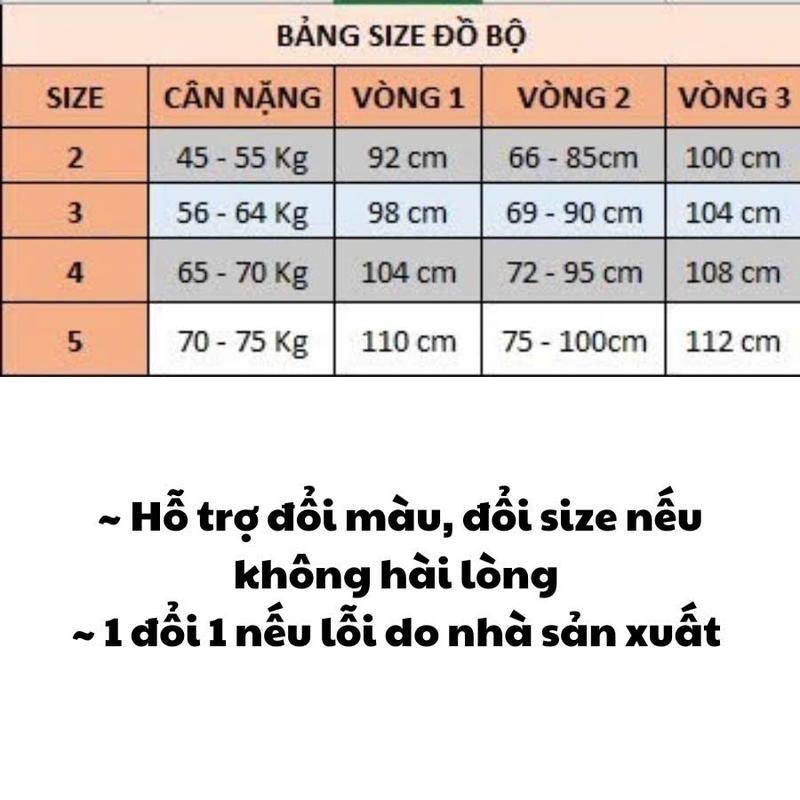 Product Introduction of Đồ bộ cho mẹ, Bộ đồ trung niên Mặc Nhà Chất Lụa Pháp Mềm Mát, Set Trung Niên  Women - Kn01 0