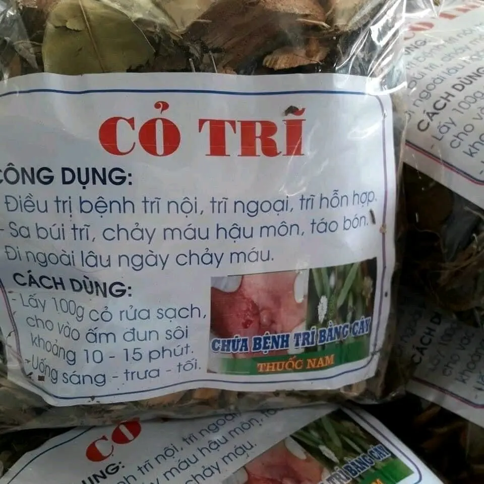cỏ trĩ đồ rừng Tây Bắc