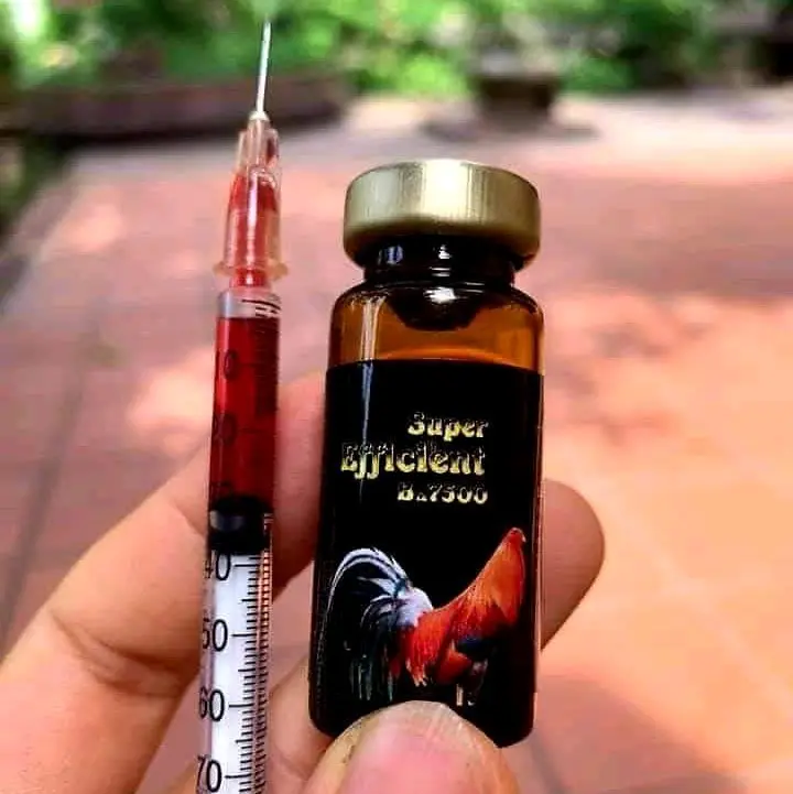 thuốc nuôi  b127500 cho gà