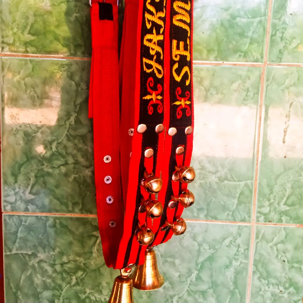 kalung Sapi pakai 7 Lonceng beserta Nama