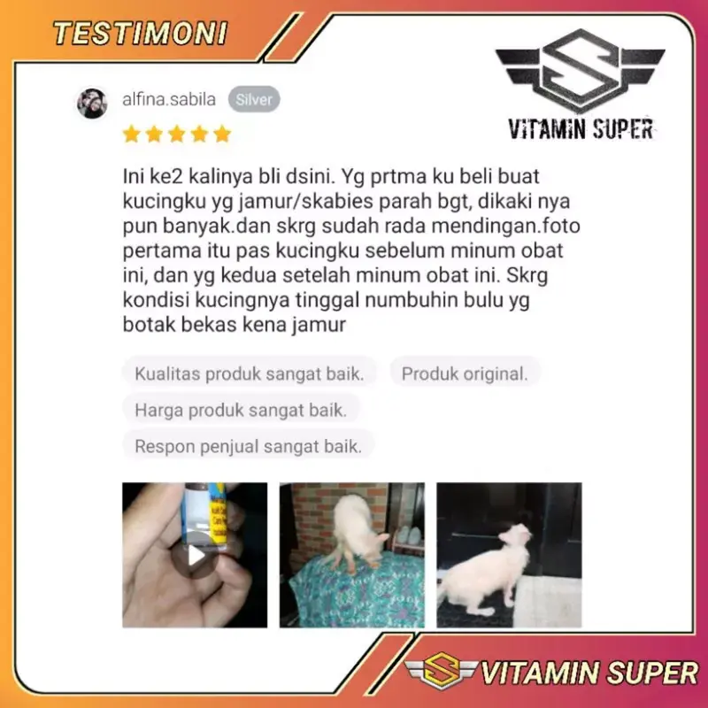 Vitamin Kucing Anti Parasit P2   Obat Scabies, Jamuran, Abses, Kutuan, Cacingan, Gatal-gatal, Ketombe, Tungau, earmeat dan Masalah Kulit 8