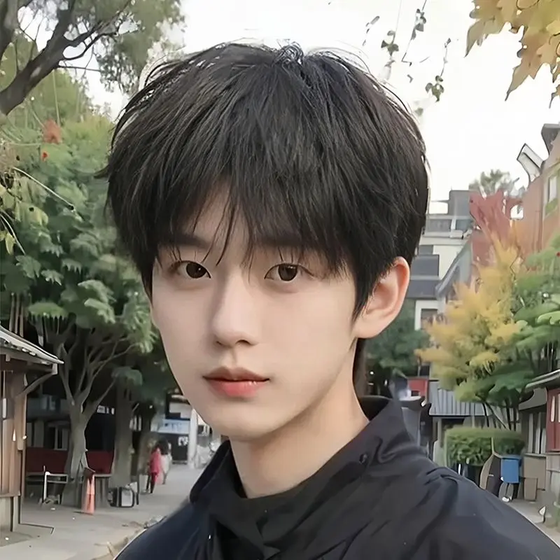 Internet Celebrity Men's Short Hair Handsome Natural Korean Style Daily Short Straight Hair Straight Bangs Realistic Fluffy Full-Head Wig Style