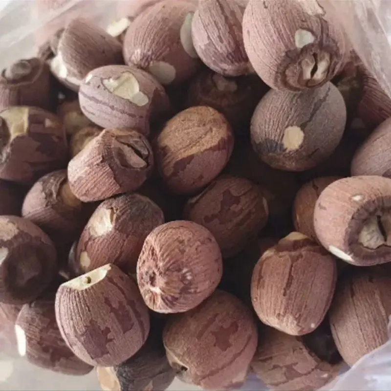 Hạt Sen Lứt Rang Đồng Tháp - Sản Xuất Từ Hạt Sen Tươi, Không Chất Bảo Quản, 500g - Food