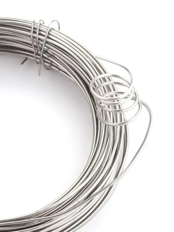 Stainless Steel Wire (10m/roll), 0.3-1mm Thickness Beads Wire for Jewelry Making, Jewelry DIY Accessories for Bracelet & Necklace & Earrings Making 4