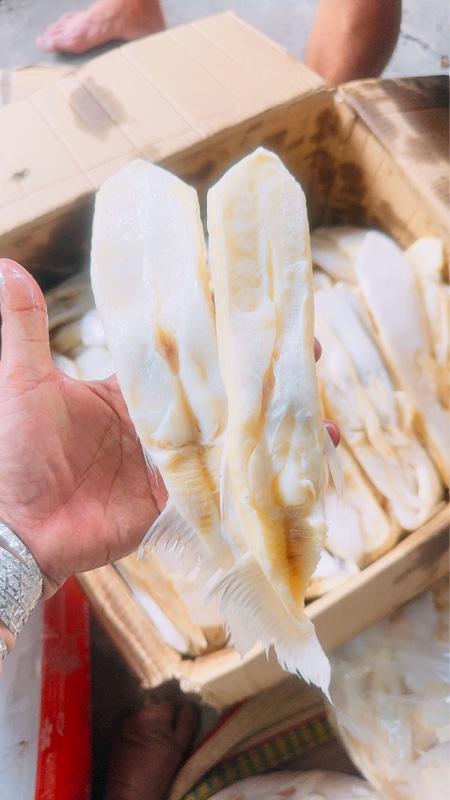 Product Introduction of Ức mỡ cá dứa Dài được đóng gói( 0,5-1kg) hàng khô 3 nắng vị mặn nhẹ vừa ăn cơm 0