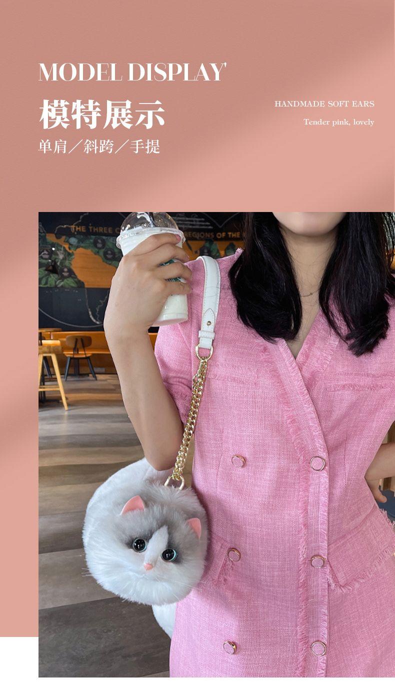 Product Introduction of This Year's Popular Bag Small Bag Niche 2022 Super Hot All-Match Western Style Mobile Phone Bag New Internet Celebrity Chain Messenger Bag 5