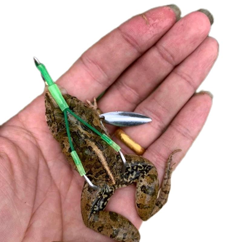 Lưỡi câu nhái Thật phiên bản độ Lưỡi Không Gỉ sét siêu sắc bén  Fishing  Bắt Cá Câu Cá Đi Câu cần lure