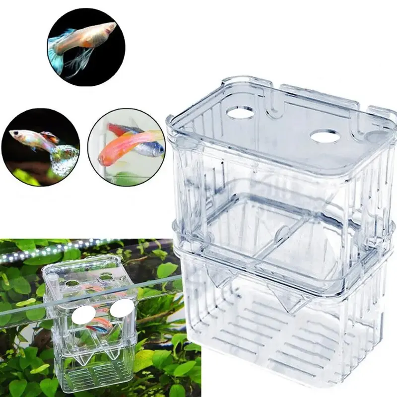 Hộp Ấp Cá Con, Acrylic Hai Lớp, Tự Nổi, Hộp Ấp Chim Công, Hộp Ấp Cá Đuôi Dài, Hộp Cách Ly, Thích Hợp Cho Cá Chiến Đấu, Trại Cá 0