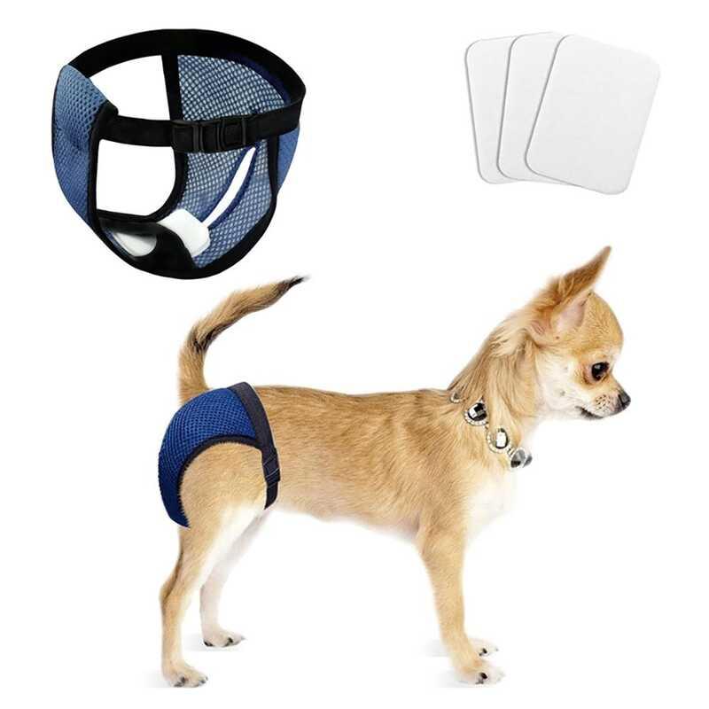 Sizes Washable with 3 Replaceable Diaper for Female Mesh Hole Design Accessories Diapers Pet Panties Dog Underwear 1