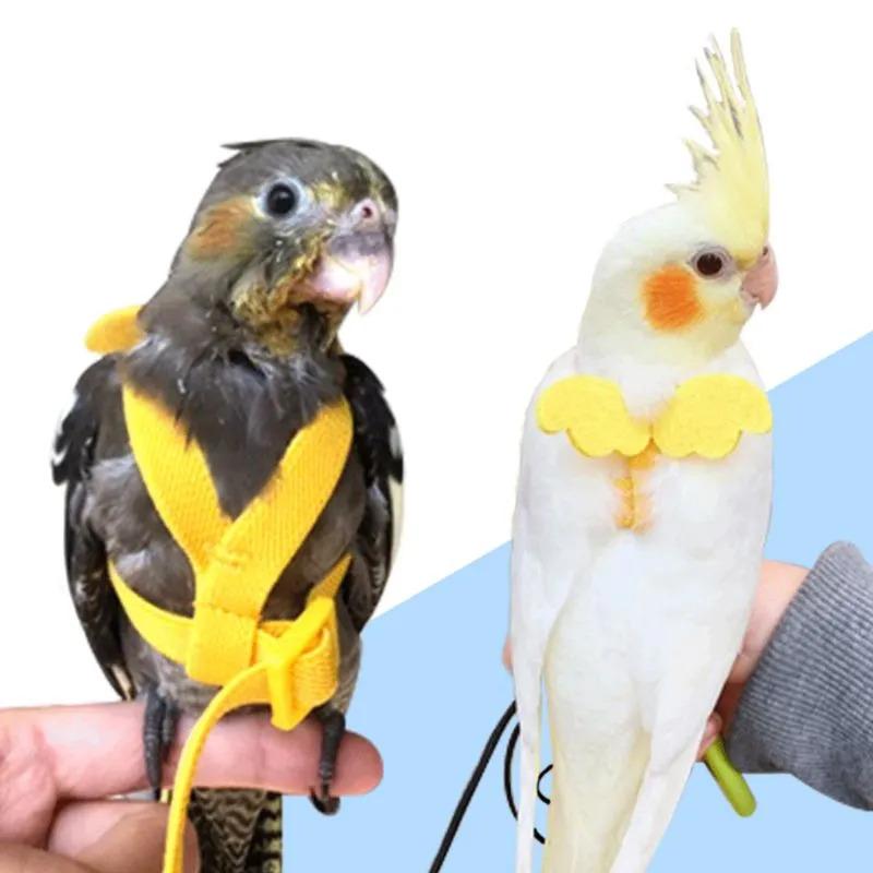 Product Introduction of Parrot Bird harness leash training rope anti bite flying traction straps portable outdoor adjustable soft band for pigeons macaw cockatiel 10