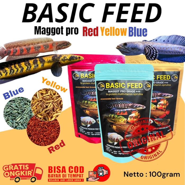 Promo BASIC FEED maggot YELLOW | RED | BLUE maggot yellow red blue pro ...