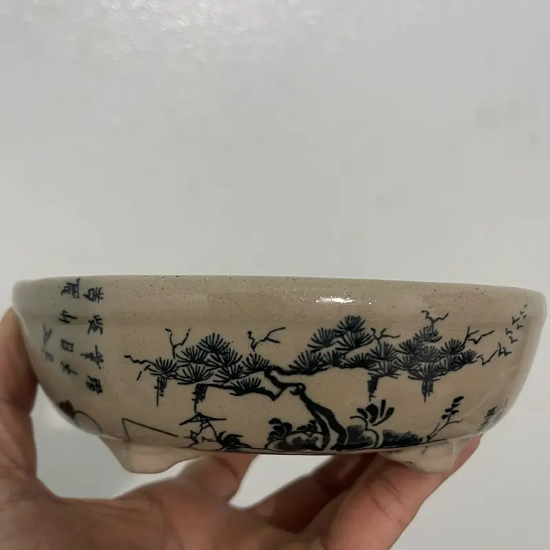 Sét 4 chậu Mini bonsai hoa văn 2 mặt sen đá nuôi cây 3