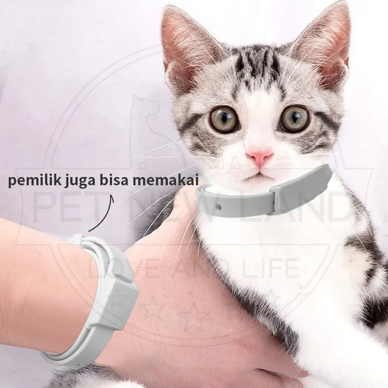 Kalung Anti Kutu Kucing Anjing Anti Serangga Pinjal Dapat Disesuaikan Aksesoris Hewan Peliharaan 4