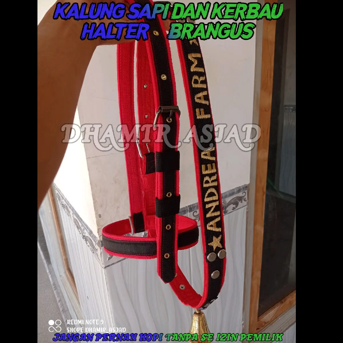 KALUNG SAPI BORDIR DAN BRANGUS