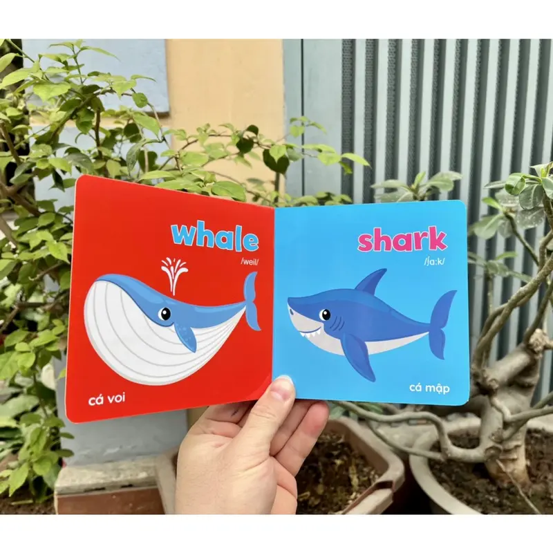 Bộ Sách 8 Cuốn Bìa cứng thư viện hình ảnh đầu tiên cho bé Baby First Picture Book Song Ngữ Việt Anh 2