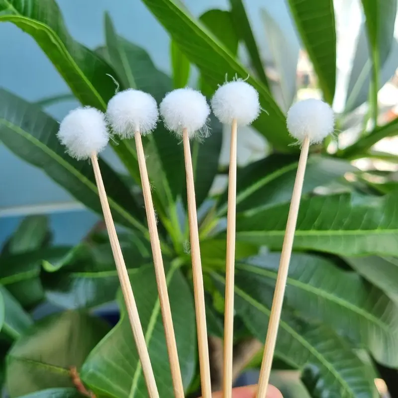 Bông se tai lông vịt chuẩn không xù lông 4