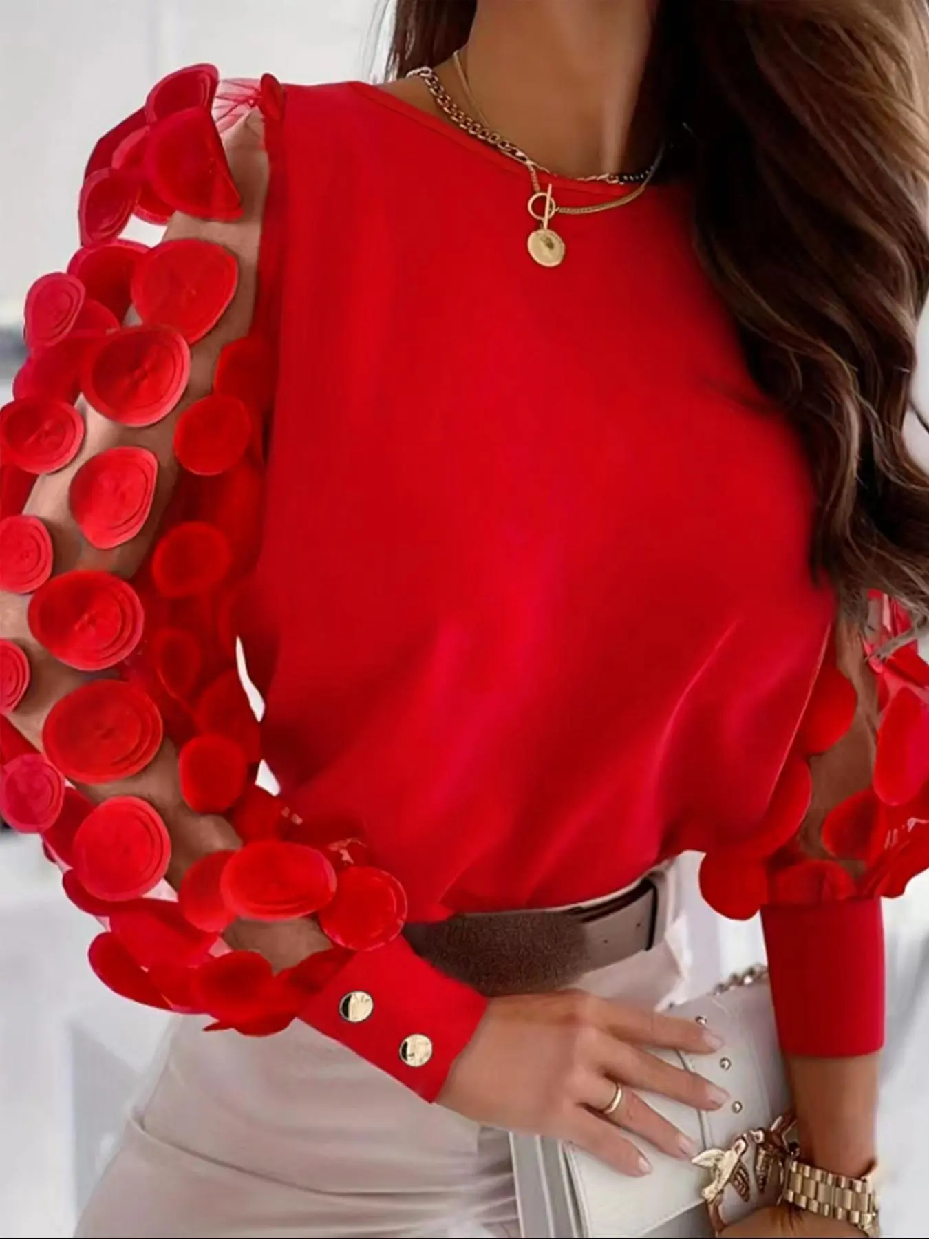 Women's Plain Appliques Sheer Bishop Sleeve Blouse, Elegant Round Neck Long Sleeve Top for Spring & Fall, Women's Clothing for Daily Wear