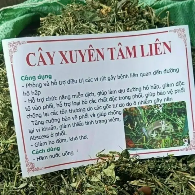 Cây Xuyên Tâm Liên Khô (1kg) Thảo Dược giúp giảm ho đờm, khó thở 2