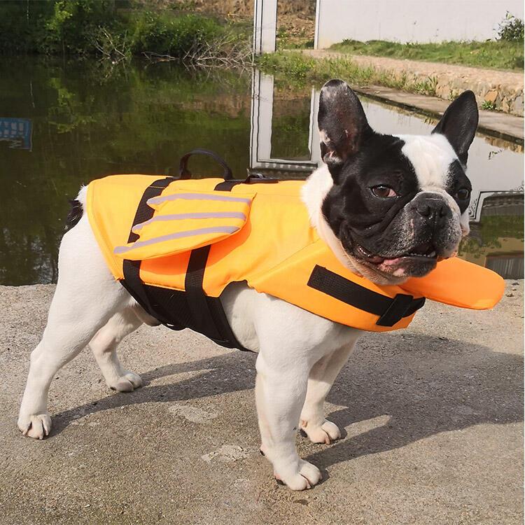 Product Introduction of Life Jacket Safety Vest Adjustable Preserver with High Buoyancy Durable Rescue Handle for Small Medium and Large Dog 16