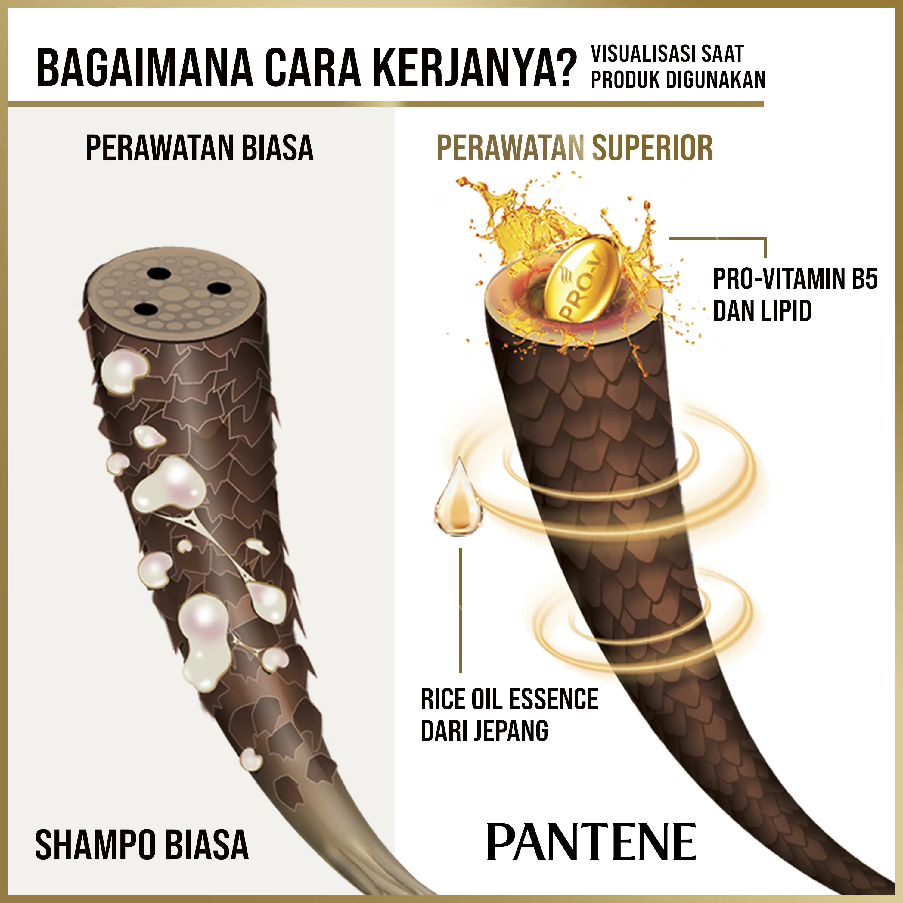 2in1 Pantene Anti Rambut Rontok Shampoo 400ml + Conditioner Biotin 70ml ...
