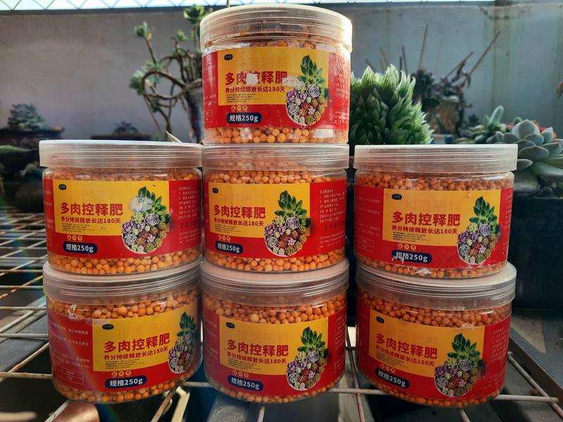 Phân tan chậm vàng chuyên dành cho sen đá, xương rồng, phong lan, hoa hồng, cây kiểng - Hũ 250 gram/ Túi 500 gram