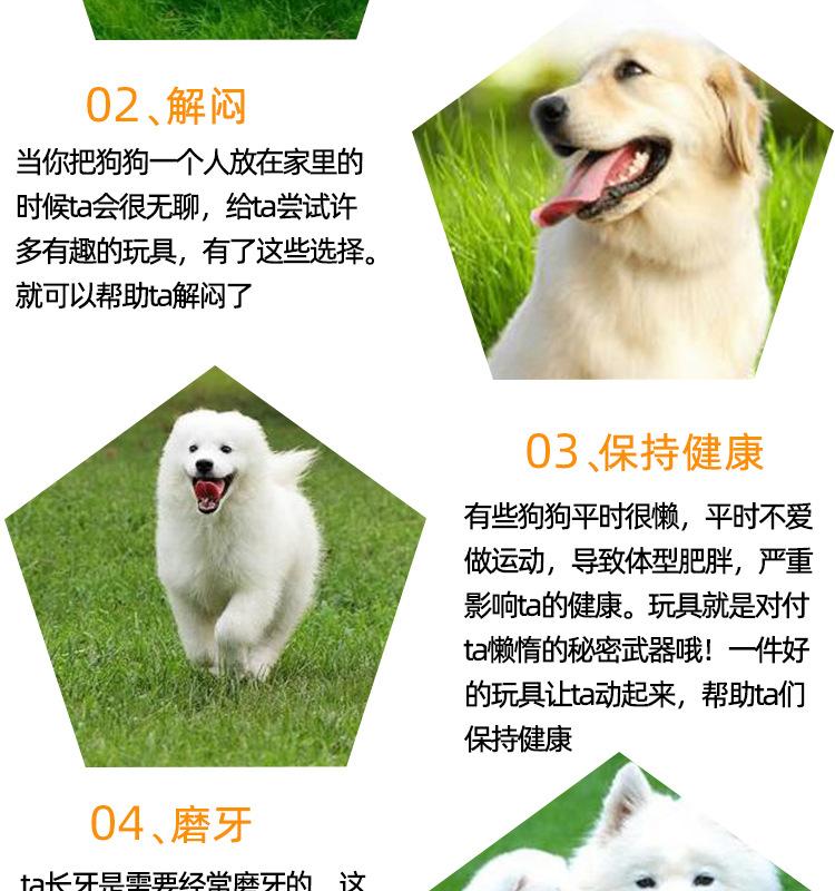 Product Introduction of Pet Toy Screaming Chicken Sound Toy Screaming Chicken Molar Dogs and Cats Bite-Resistant Decompression Toy Supplies 3