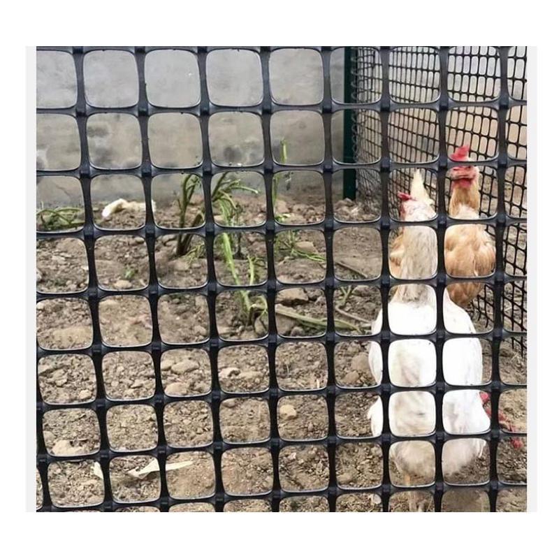 Ô 2cm Ô 3x4cm dài 30 mét lưới nhựa dẻo lưới rào vườn - lưới quây chuồng gà-làm sàn vịt -đai băng dính