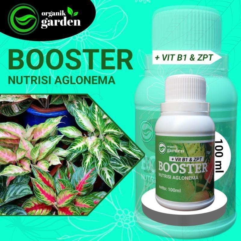 BOOSTER POC NUTRISI AGLONEMA MONSTERA VARIGATA 100ML Pupuk Daun Tanaman