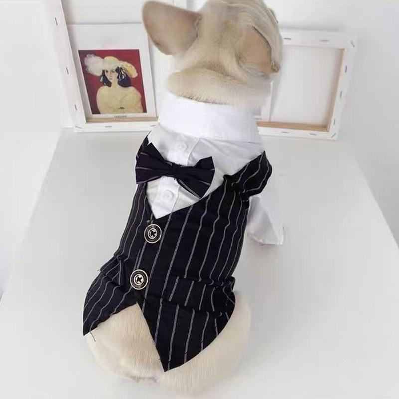 Bộ Đồ Thú Cưng Có Nơ, Trang Phục Ngắn Tay Cho Mèo, Bộ Đồ Đám Cưới Cho Chó, Áo Sơ Mi Trang Trọng Cho Chó Nhỏ 3