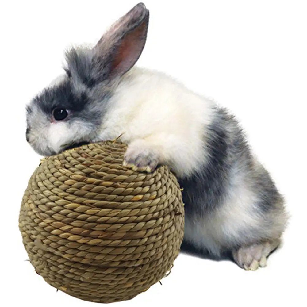 Pet Chew Toy Natural Grass Ball for Rabbit Hamster Guinea Pig for Tooth Cleaning Supplies Pet Toys Pet Supplies