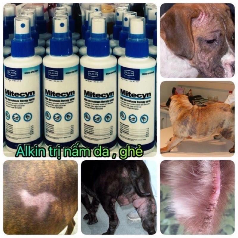 Thuốc xịt ve, trị nấm, ghẻ, viêm da cho chó mèo